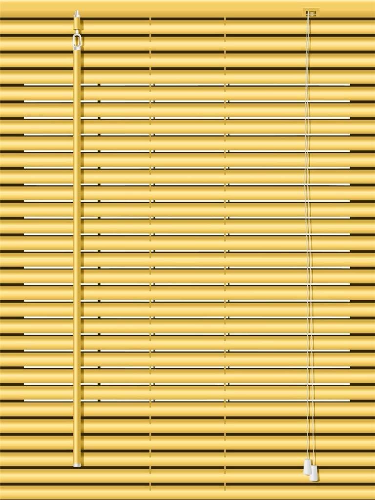 Venetian Blind