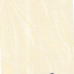 Vertical Blind per SQ feet